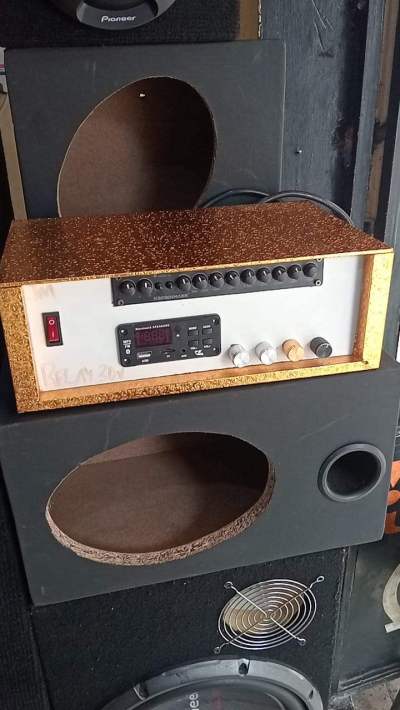 Pioneer sound system